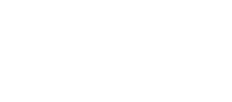 Divine Fitness Logo